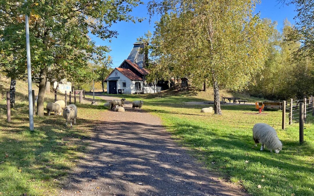 Von Gelbbauchunken und feuerfesten Erden