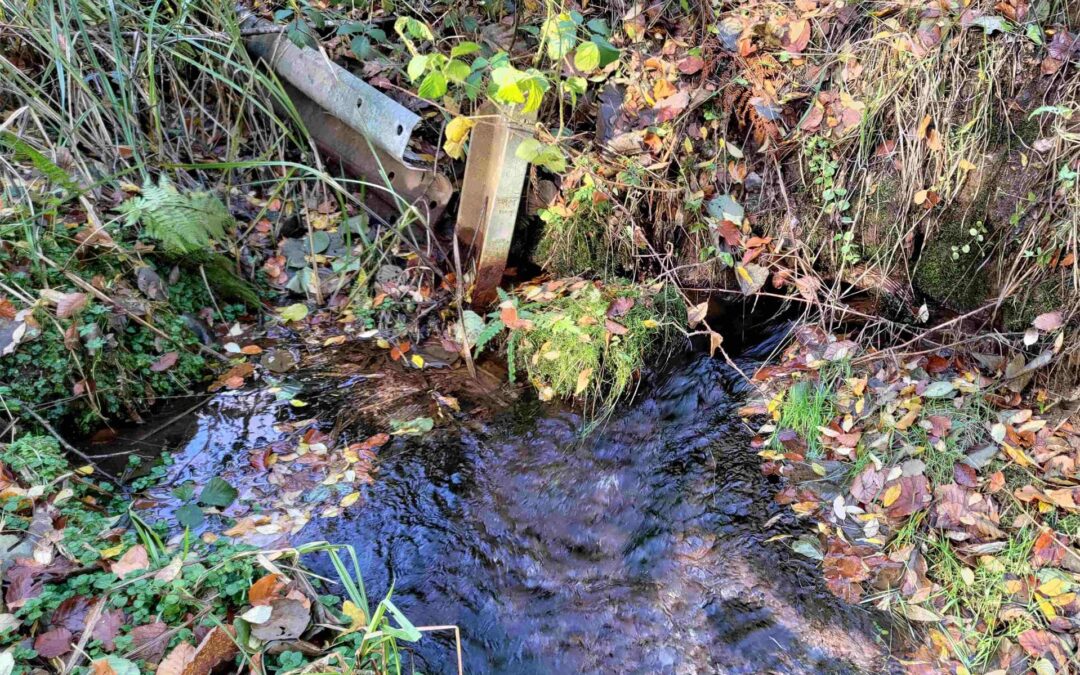 Grundwasser auf Dauer bewahren